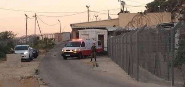 طالع التفاصيل.. الاحتلال يُرسل جثمانًا مجهولاً للجانب الفلسطيني