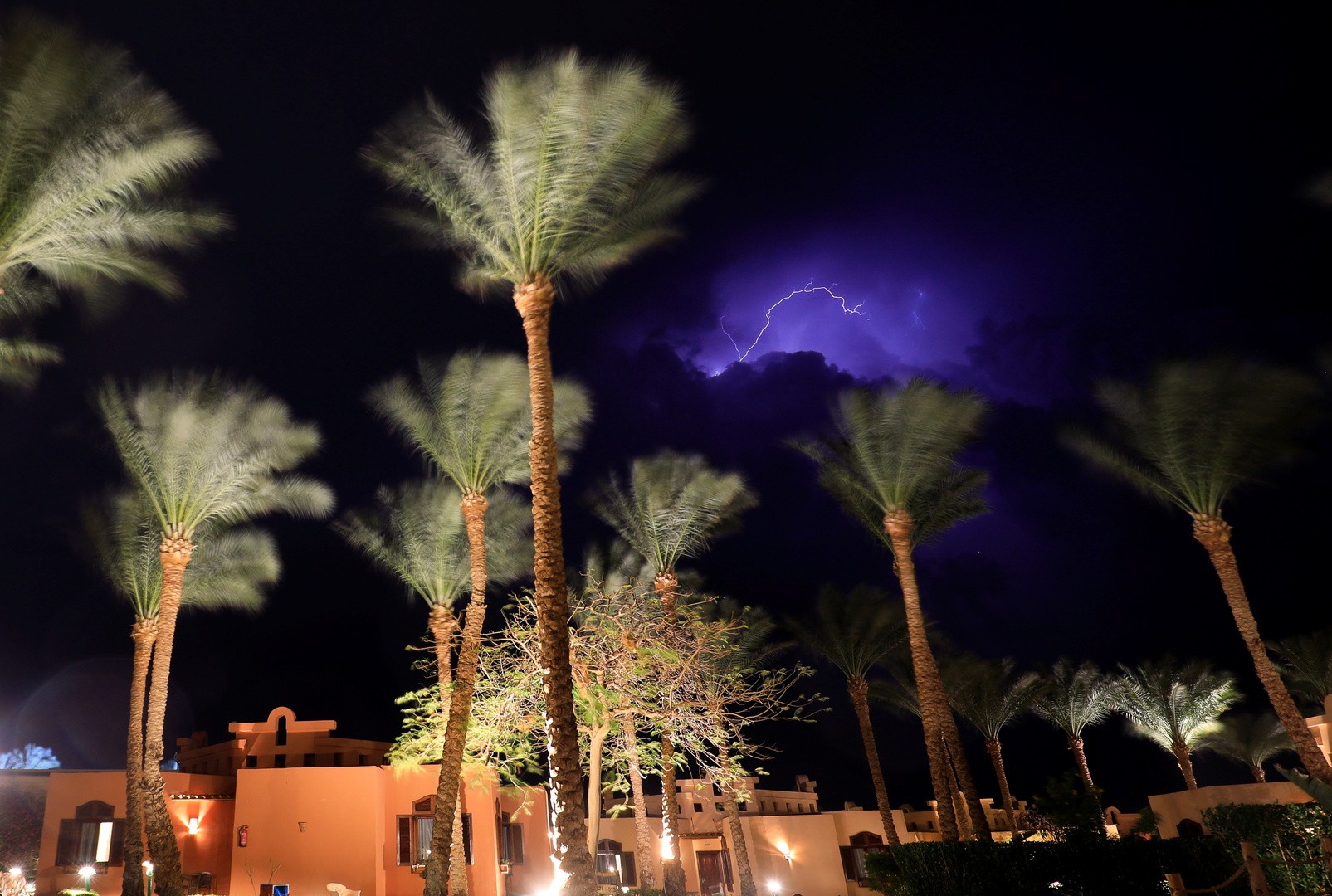 مصرع 3 وإصابة 500 بلدغ عقارب جراء أحوال جوية نادرة جنوبي مصر