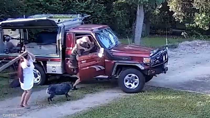 فيديو: زوجان يتحدان بطريقة "مثالية" لإيقاف لص حاول سرقتهم