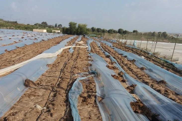 زراعة غزة تكشف إجمالي أضرار المجال الزراعي إثر العدوان الأخير على القطاع