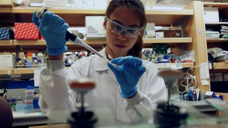 الصحة العالمية تكشف أعداد المصابين بـ"كورونا" حول العالم خلال أسبوع