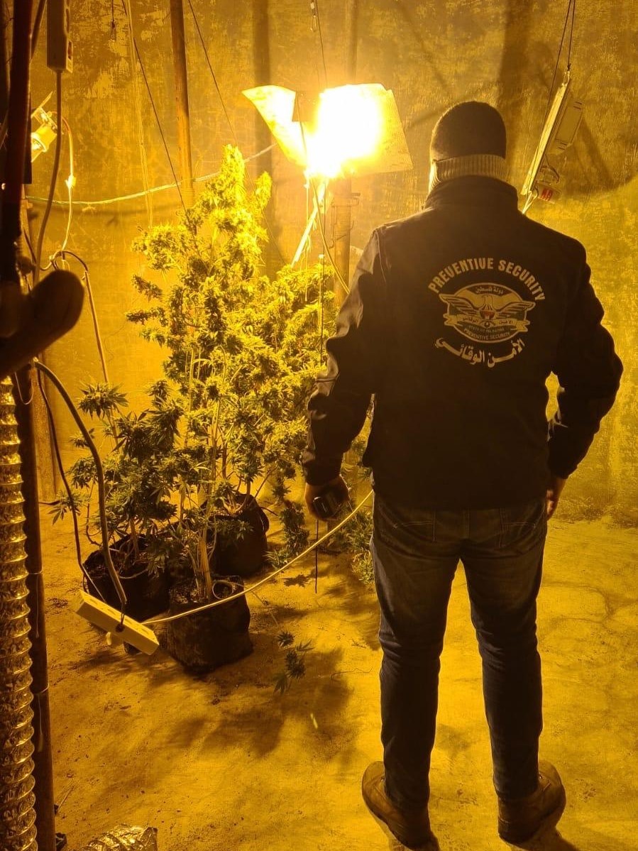 ضبط مشتل لزراعة المخدرات في بلدة عناتا بالقدس المحتلة