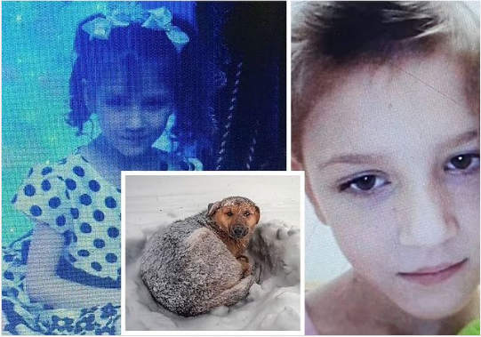 كلب ينقذ طفلة من الموت فى عاصفة ثلجية بروسيا