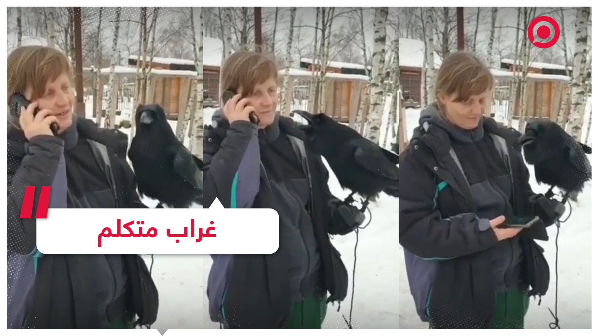 فيديو.. غراب يشارك مالكته أحاديث الهاتف