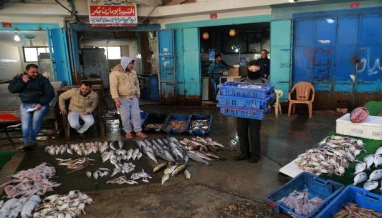 بلدية غزّة: نسبة الإنجاز في مشروع صيانة وتطوير حسبة السمك وصلت نحو 87%