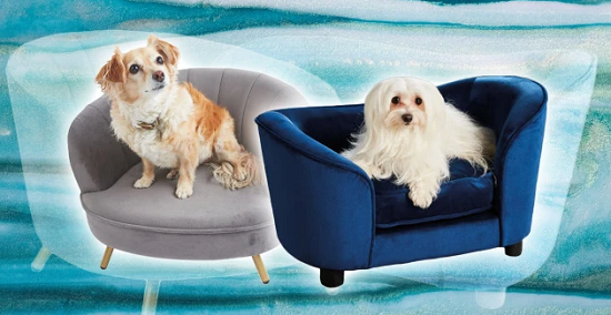 شركة بريطانية تطرح مقاعد وأسرّة مخصصة للقطط والكلاب