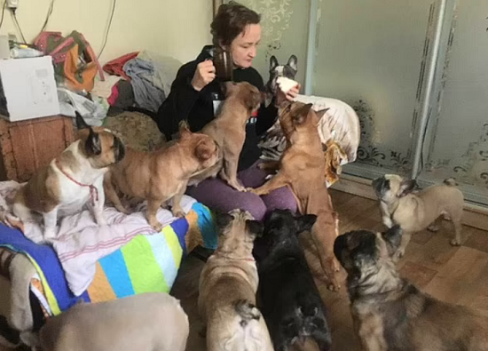 "أولينا" تطوف شوارع أوكرانيا بسيارتها لإنقاذ الحيوانات الأليفة من تبعات الحرب