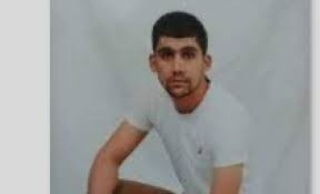 بوتشا وفلسطين