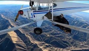 يوتيوبر يوثق لحظة تحطيم طائرته لزيادة المشاهدات.. والطيران الفيدرالي تعاقبه