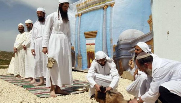 شاهد.. الاحتلال يزعم اعتقال مستوطنين كانا في طريقهما لذبح القرابين بالأقصى