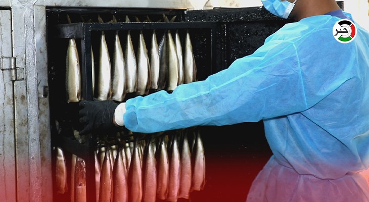 بالفيديو: تجهيزات سمك "الرينجة" في غزّة استعداداً لموسم عيد الفطر السعيد