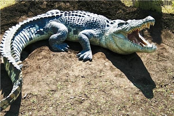 صياد ينجو بأعجوبة بعد مهاجمة 4 تماسيح له فى زيمبابوى