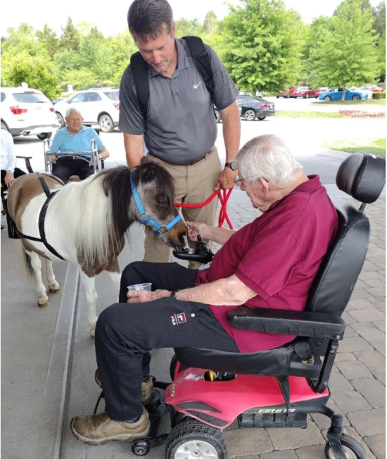 دار مسنين تستخدم الخيول الصغيرة لإسعاد كبار السن مرضى ألزهايمر