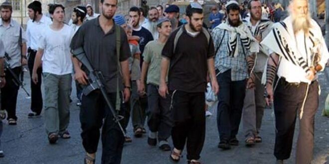 عشرات المستوطنين يغلقون شارعًا شمال أريحا