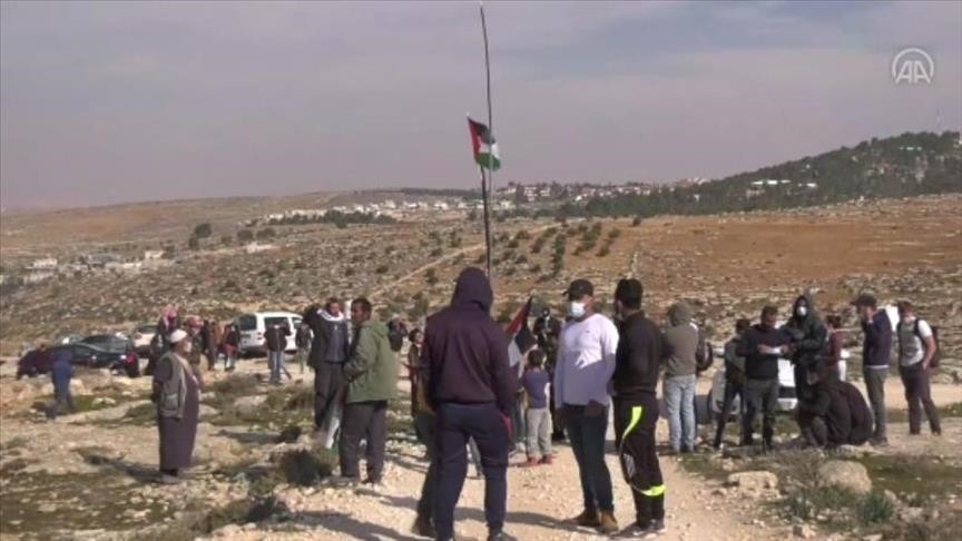 نابلس: متضامنون يشاركون في زراعة أشجار بأراضي بورين