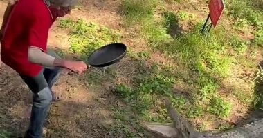 صاحب مطعم فى أستراليا يهزم تمساحا ضخما بـ"طاسة"