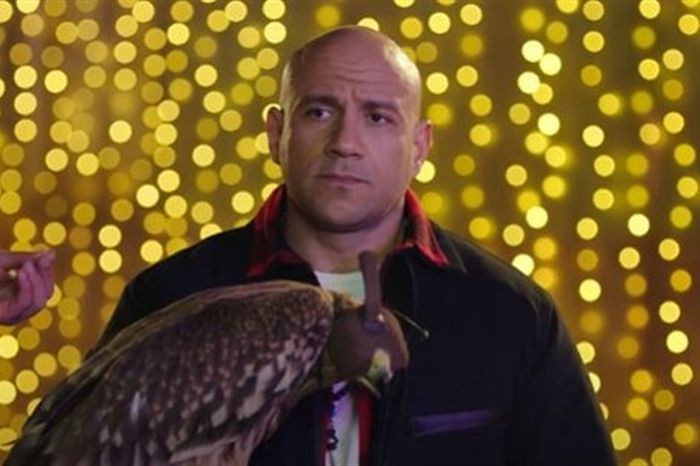 أحمد مكي ينقذ حمامة من الموت ويعالجها من ضربة قاتلة