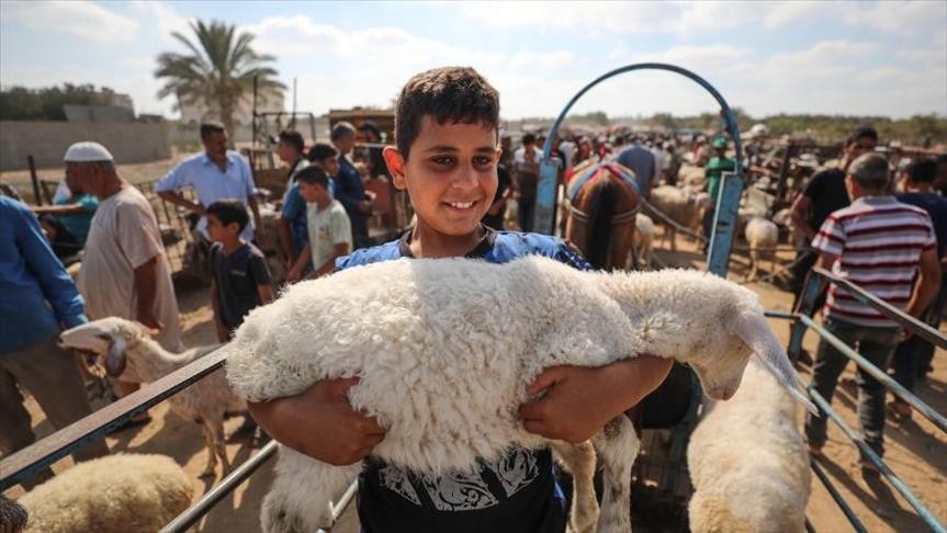 مالية غزة تُطلق مشروع "الأضحية بالتقسيط" للموظفين.. وهذه التفاصيل!