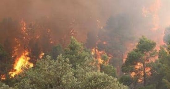 مقتل 25 شخص وإصابة آخرين جراء اجتياح حرائق الغابات شمال الجزائر