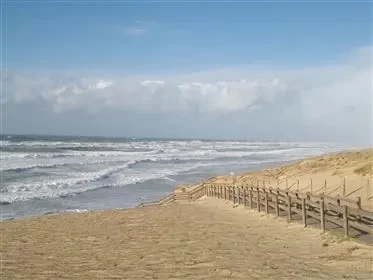 "إسرائيل" تُقرر منع الاستحمام على شاطئ "زيكيم" حتى إشعارٍ آخر