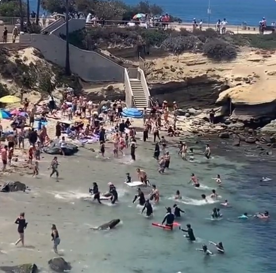 فيديو طريف لهجوم مضحك من البحر على مصطافين بشاطئ أمريكى