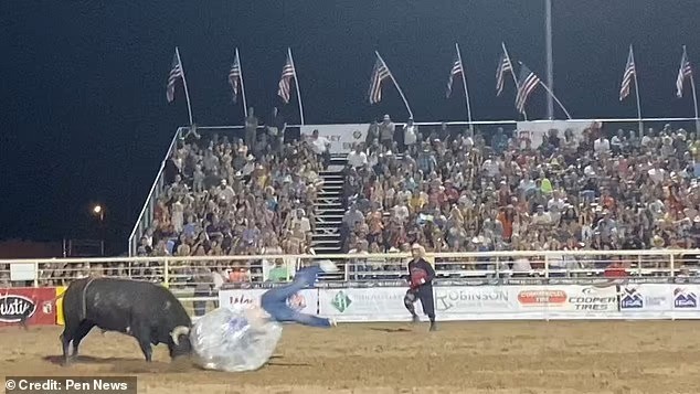 أمريكية تغامر بحياتها أمام ثور للحصول على 500 دولار