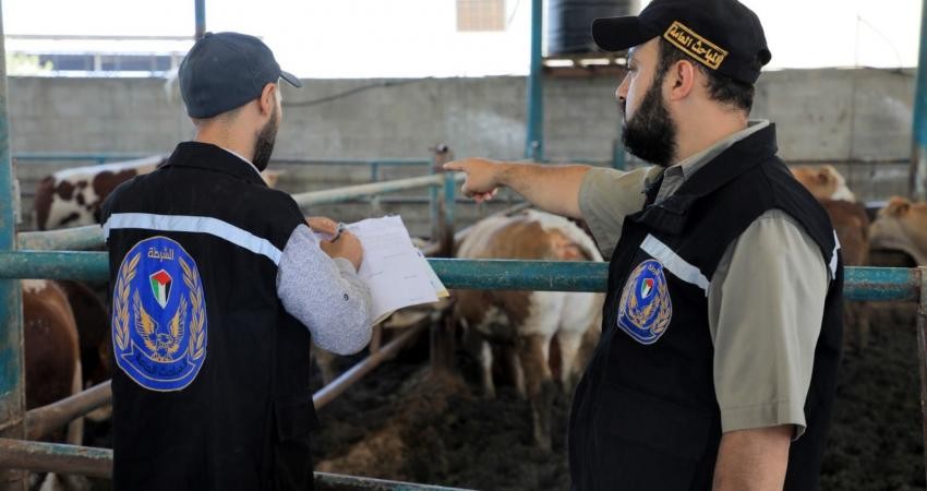 غزة: المباحث تتفقد مزارع المواشي قبيل عيد الأضحى