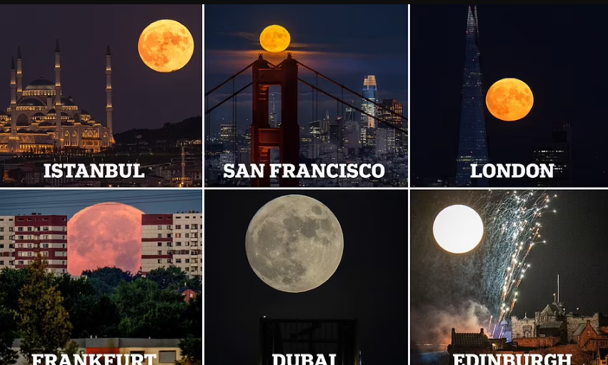 قمر الحفش العملاق يسطع فى سماء دول العالم