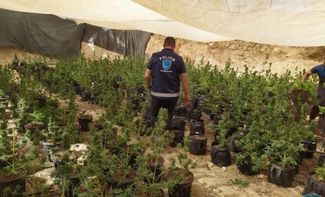 شرطة الخليل تقبض على تاجر مخدرات هارب منذ عامين