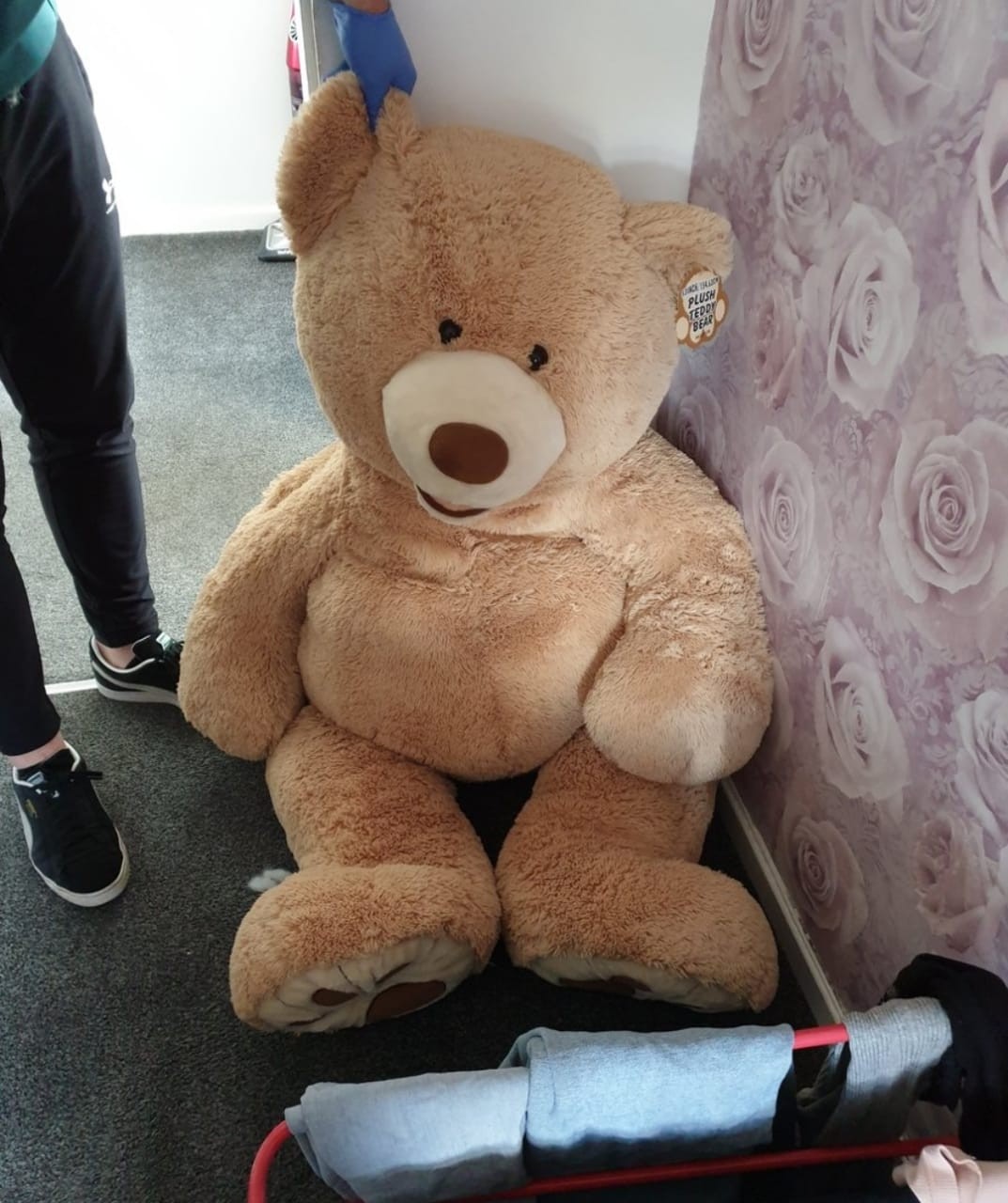 خطأ يوقع لص سيارات فى قبضة الشرطة البريطانية