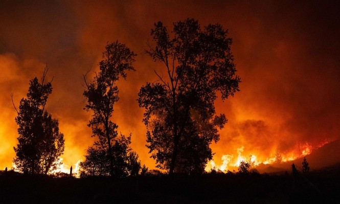 ارتفاع حصيلة قتلى الحرائق في الجزائر إلى 43