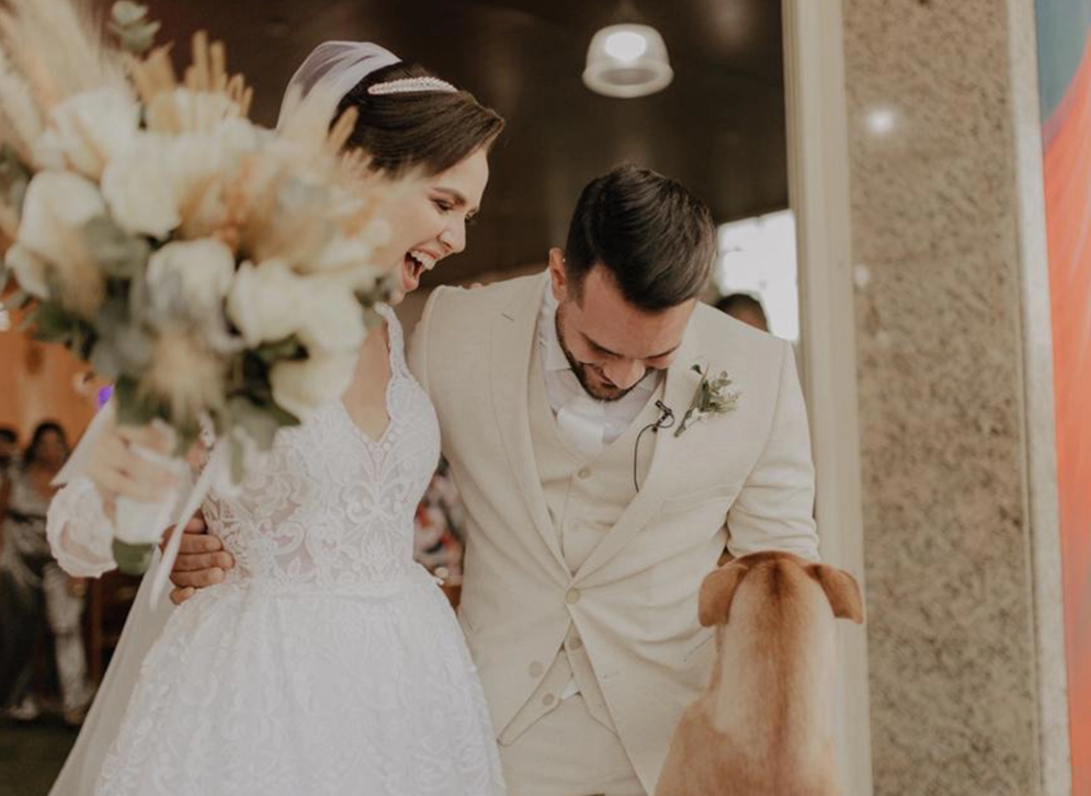 كلب ضال يقتحم حفل زفاف فى البرازيل ورد فعل العروسان مفاجأة