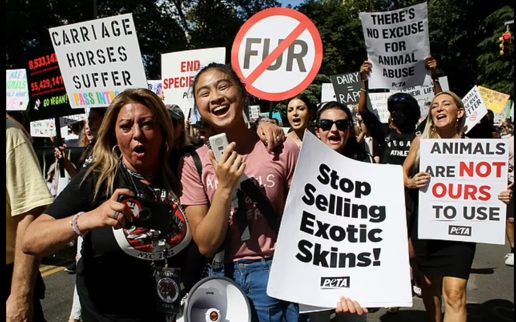 شاب يثير غضب نشطاء حقوق الحيوان فى أمريكا بتناول "شيش كباب" أمامهم