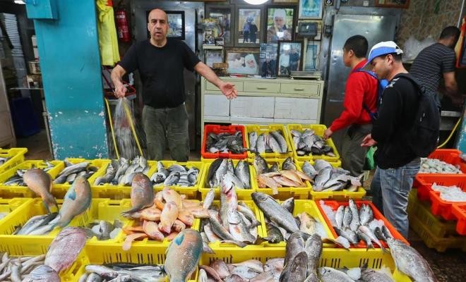 الاحتلال يُقرّر إلغاء الجمارك المفروضة على الأسماك المستوردة