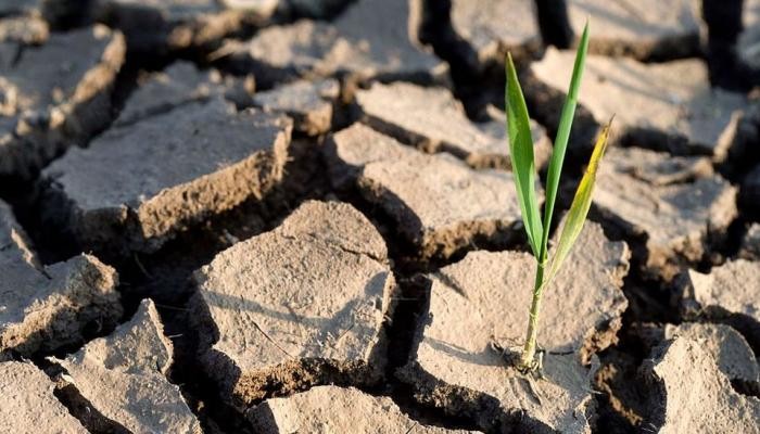 الأمم المتحدة: العالم يسير في "الاتجاه الخاطئ" بمجال التغير المناخي