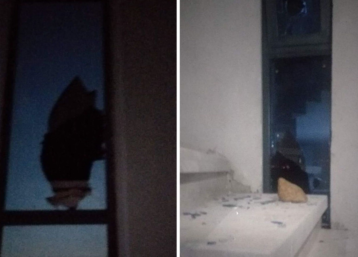 مستوطنون يهاجمون منزلاً ويطلقون قنابل الغاز في بيت فوريك شرق نابلس