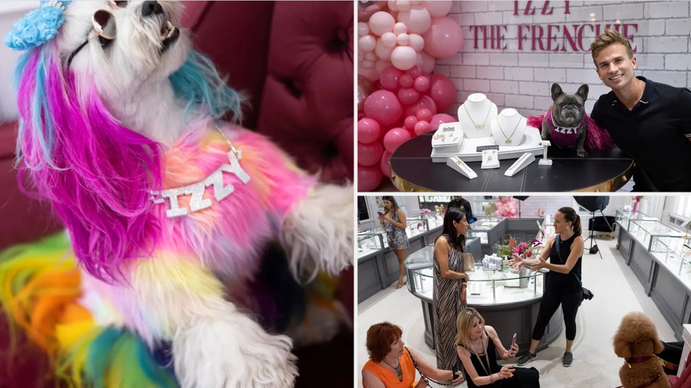 كلبة فاشونيستا.. لديها مليون متابع واختيرت وجهًا إعلانيًا لعلامة مجوهرات