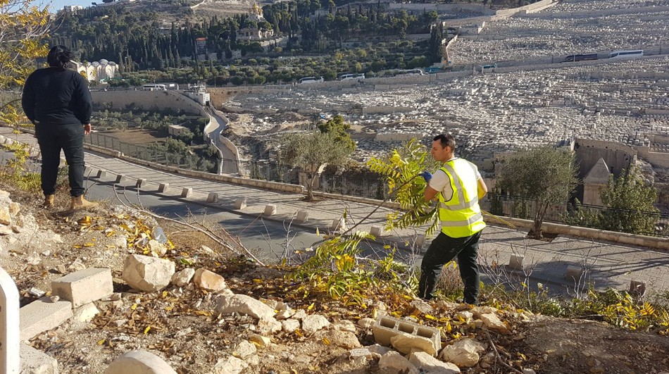 عشرات المقدسيين يشرعون بحملة صيانة وتنظيف مقابر القدس