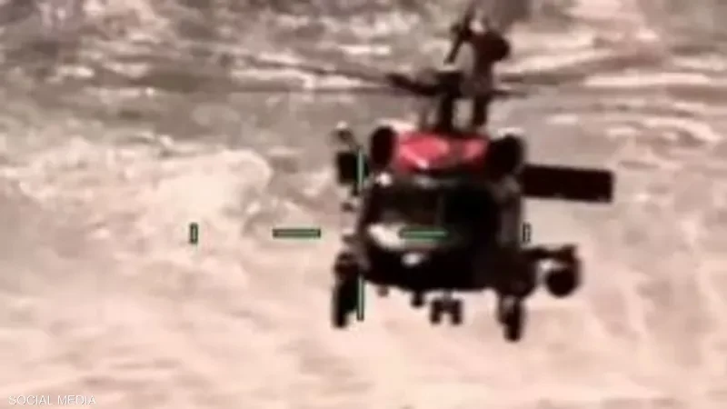 أسماك القرش