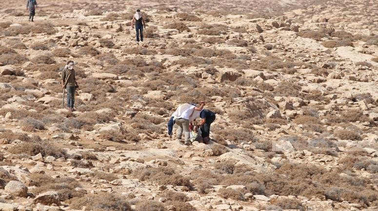 مستوطنون يطعنون متضامنة أجنبية شرق بيت لحم