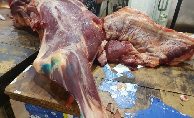 غزة: مباحث التموين تُعلن ضبط كمية من المواد الغذائية الفاسدة