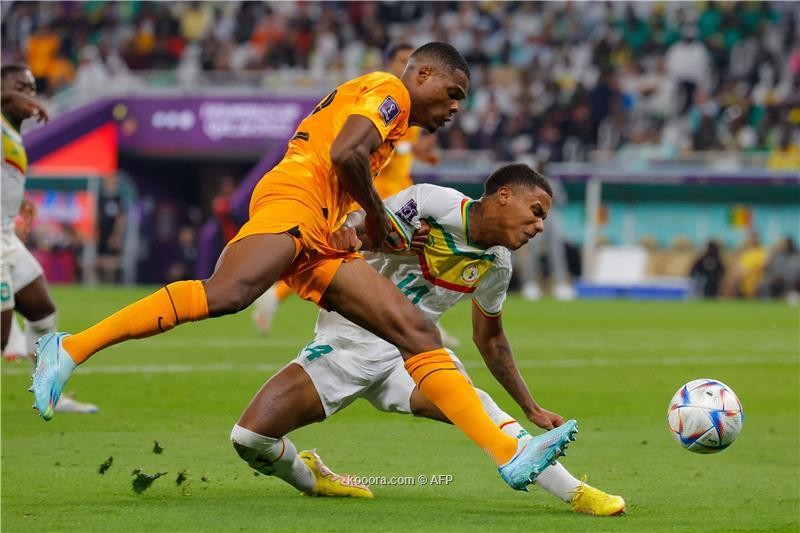 بالصور : هولندا تكسر صمود السنغال بثنائية متأخرة