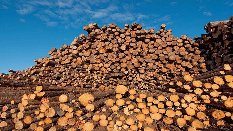 أوكرانيا تُقرر حظر تصدير الحطب