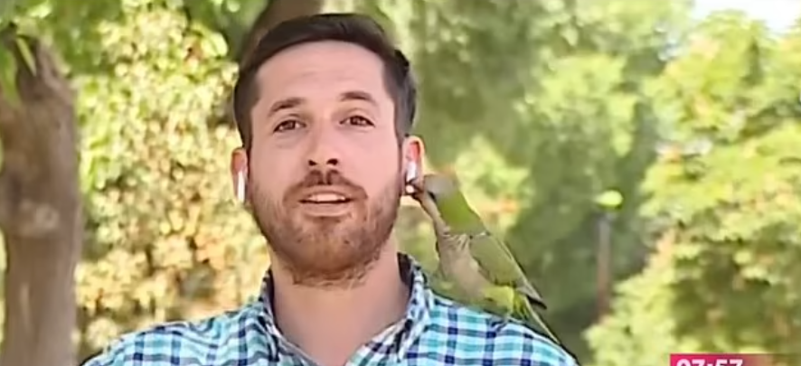 مراسل تلفزيونى يتعرض للسرقة أثناء بث مباشر عن عملية سطو