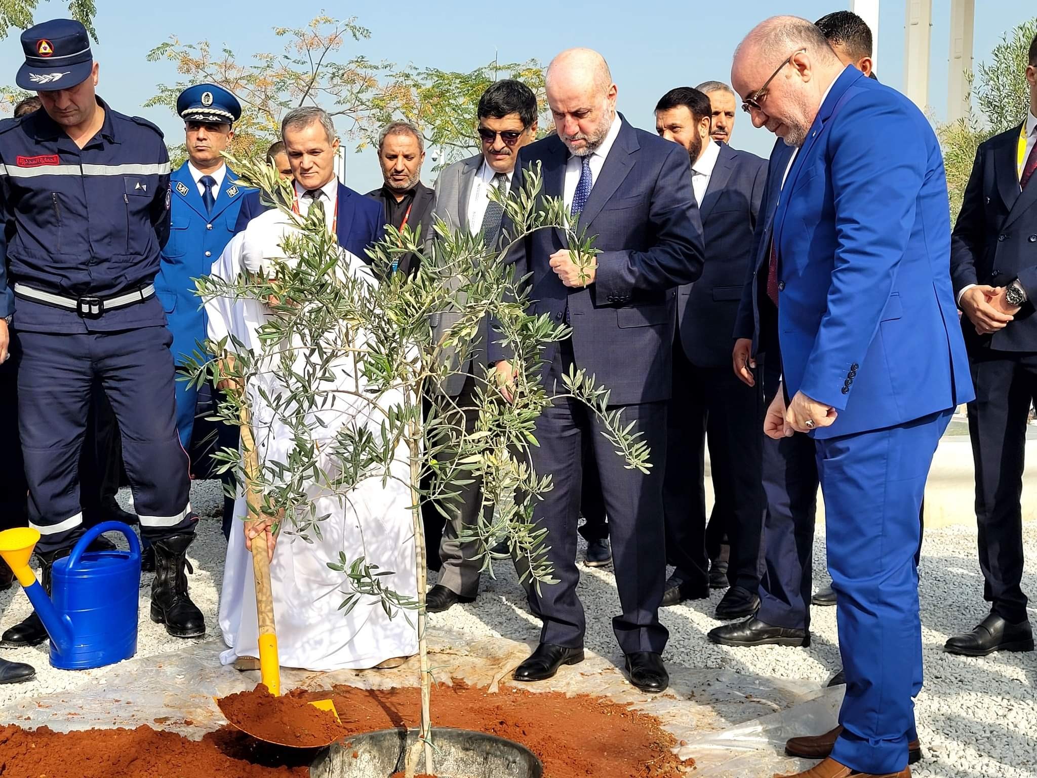 الهباش يغرس الزيتون الفلسطيني في ساحة جامع الجزائر الأعظم