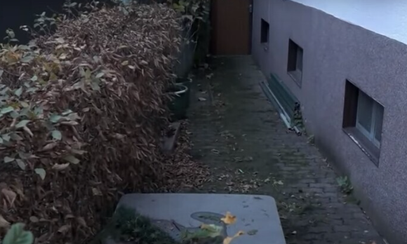 بالفيديو: لا تعرف العالم الخارجي.. إنقاذ طفلة ألمانية حبستها عائلتها منذ 7 سنوات