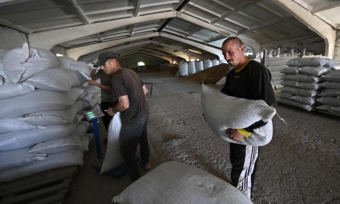 روسيا والأمم المتحدة يؤكدان التزامهما بتطبيق اتفاق تصدير الأسمدة والحبوب