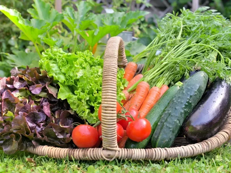 تفسير الاحلام