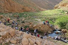 4 إصابات باعتداءات للمستوطنين في نبع العوجا شمال أريحا