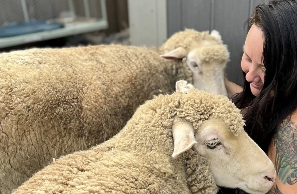 خبيرة تجميل أمريكية تترك عملها لإنقاذ الحيوانات المعاقة